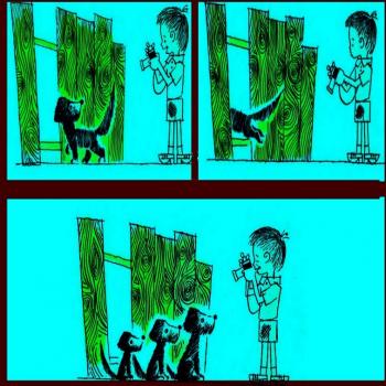 Фотополювання