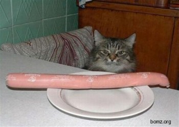 Зрадлива мить щастя