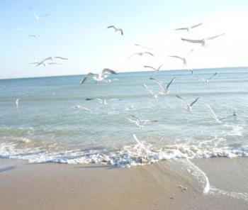 Як я вперше поїхав на море