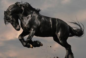 Маленька поема до Дня поезії