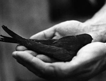 Одягни її в любов