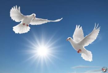 Коханню й Всесвіт замалий