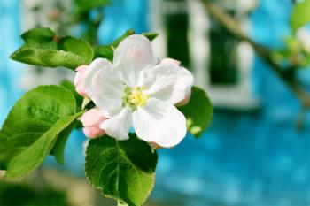 Давня весна