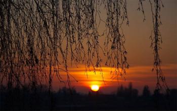 Весняні елегії