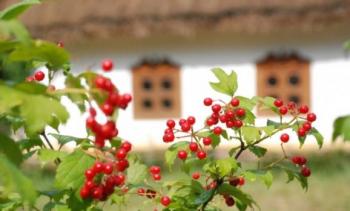 Що би сказав Тарас Григорович Шевченко...