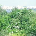 Продовження поеми Три крапки..Про справжній НАРОД і продажну еліту в Україні