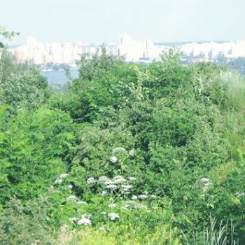 Продовження поеми &laquo;Три крапки..&raquo;Про справжній НАРОД і продажну &laquo;еліту&raquo; в Україні