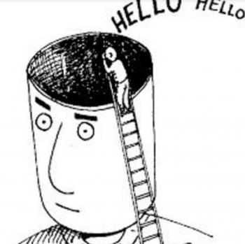 Кактуси не люблять,  коли на них сідають