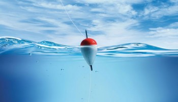 Чи люблять рибалити українці?