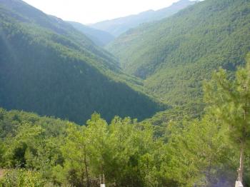 Опускается ночь на кедры ливанские