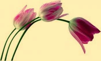 Врятуйте Дітей