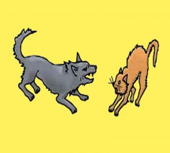 Звірячі Перегони