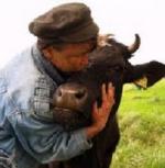 Несвідомий електорат