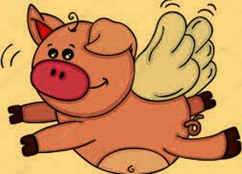 Маленька Свинка