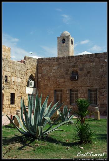 Сирія. Біблійний острів Арвад — останній оплот Ордена бідних лицарів Христа