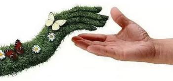 Моє ставлення до природи