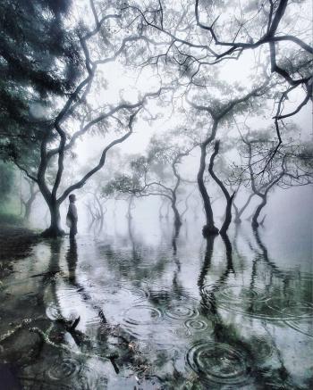 Дощ у сутінках