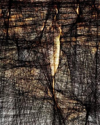 Силові Лінії