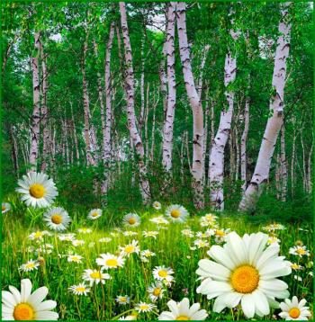 Поміж днями літо зупинилось...