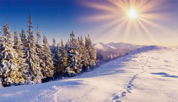 Зимові веселощі