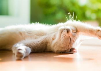 Мій вихідний день