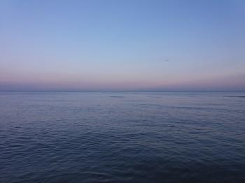 Заховаюсь у мушлі