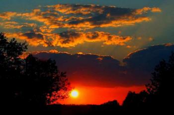 Вечірні тіні