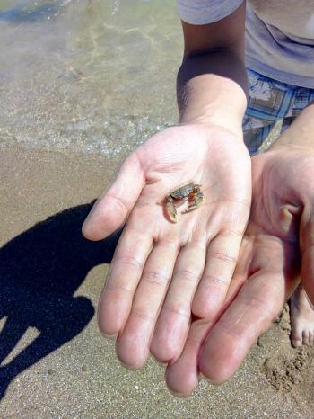 Курортний щоденник