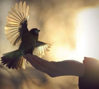 Чужого горя не буває