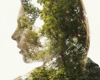 Природа і людина в сучасному світі