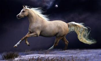 Давно затерся слід копит