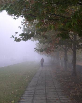 Перший осінній дощ