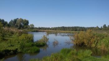 Розлилась неба синь у ставочок...