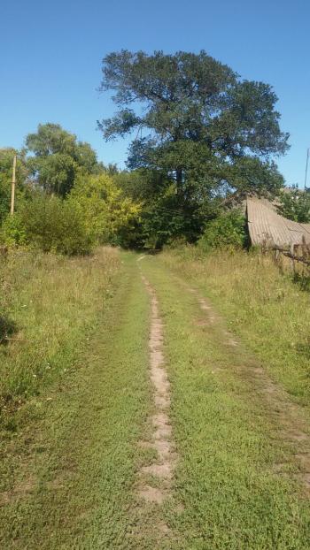 Як живеться тобі,  милий брате...