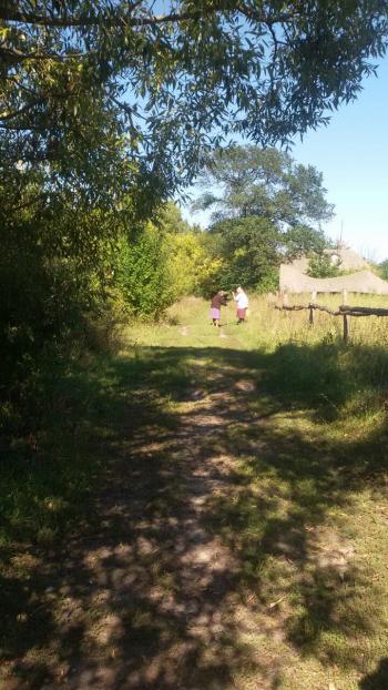 Ой,  чия то засмучена осінь...