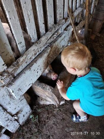 Я сьогодні з онуком зостався...