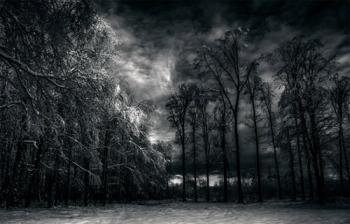 Тіні забуті