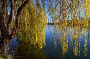 Злетіло літо