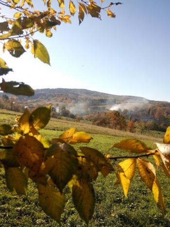 Прохолодою ранок вітає...