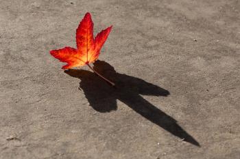 Гепі бйоздей ту мі