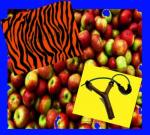 Рогатка,  Смуги,  Яблука