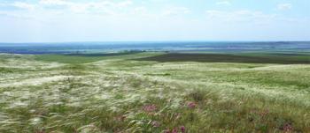 Серед степів