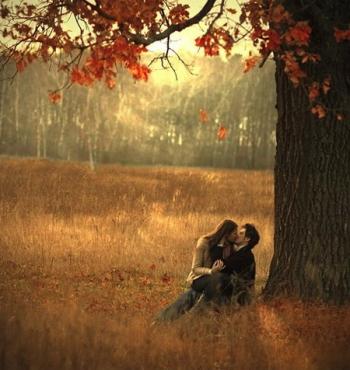 Яблука доспіли…