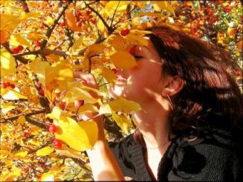 Багряне листя