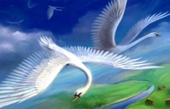 Гуси-лебеді летять