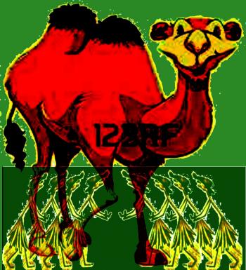 Соломинка і Верблюд