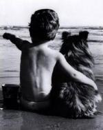 Справжня дружба