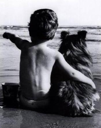 Справжня дружба