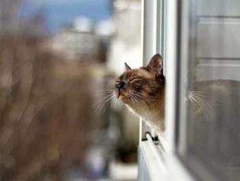 Хороша погода