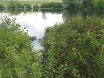 Озеро Дитинства